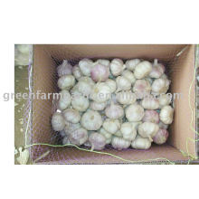 normal white garlic of lowest price in jining greenfarm